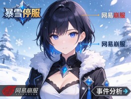 暴雪停服与网易崩服事件分析