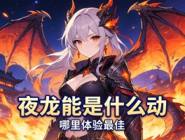 夜龙是什么活动,为何火爆,哪里体验最佳？