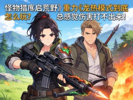 大佬们，《怪物猎人荒野》重弩的龙热模式到底怎么玩？总感觉伤害打不出来！