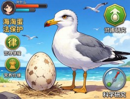 海鸥蛋是什么,海鸥蛋的法律保护,营养价值,科学研究