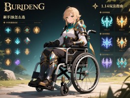 艾尔登法环轮椅1.14玩法指南，DLC最强流派有哪些，如何搭配装备，新手该怎么选