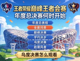 王者荣耀kpl巅峰王者会赛程,年度总决赛何时开始,鸟巢决赛怎么观看？