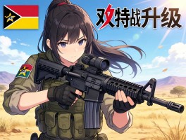 莫桑比克双持实战升级