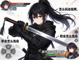 黑衣剑士,怎么玩最爽,职业怎么选,新手怎么快速上手