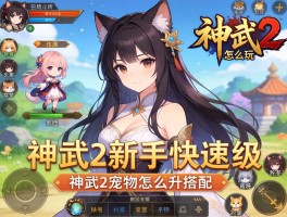 神武2怎么玩,神武2新手如何快速升级,神武2宠物怎么搭配